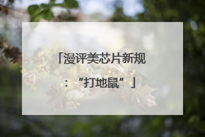 漫评美芯片新规：“打地鼠”