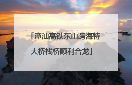 漳汕高铁东山跨海特大桥栈桥顺利合龙