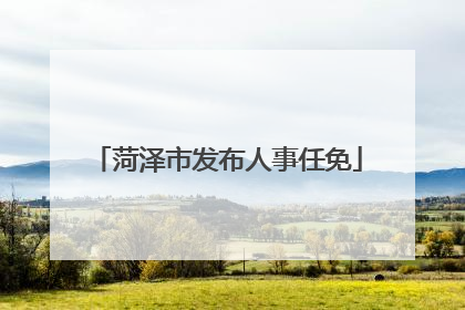 菏泽市发布人事任免