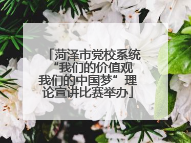 菏泽市党校系统“我们的价值观 我们的中国梦”理论宣讲比赛举办