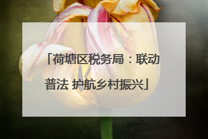 荷塘区税务局：联动普法 护航乡村振兴