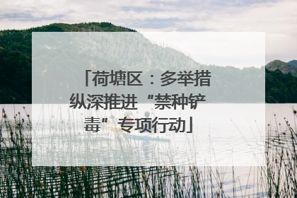 荷塘区：多举措纵深推进“禁种铲毒”专项行动