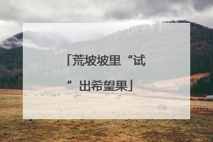 荒坡坡里“试”出希望果