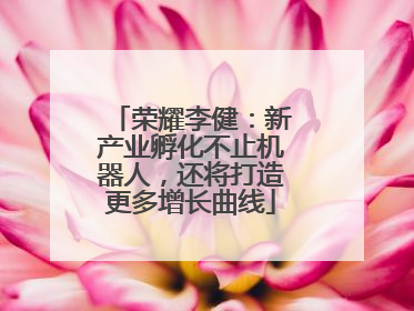 荣耀李健：新产业孵化不止机器人，还将打造更多增长曲线