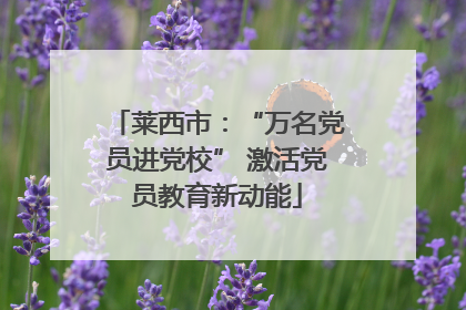 莱西市：“万名党员进党校” 激活党员教育新动能