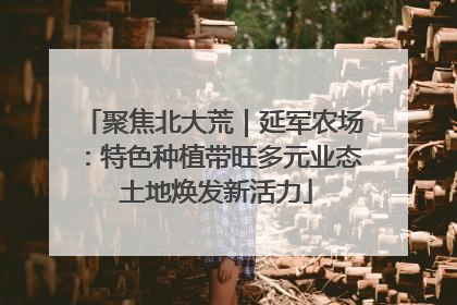 聚焦北大荒｜延军农场：特色种植带旺多元业态 土地焕发新活力