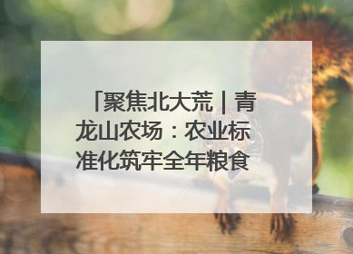 聚焦北大荒｜青龙山农场：农业标准化筑牢全年粮食安全根基