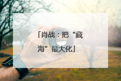 肖战：把“藏海”最大化
