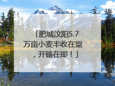 肥城汶阳5.7万亩小麦丰收在望，开镰在即！