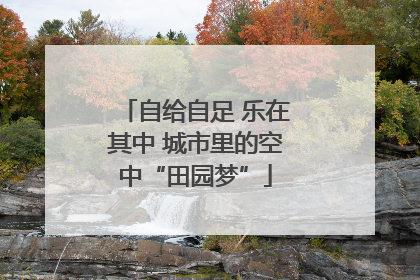 自给自足 乐在其中 城市里的空中“田园梦”
