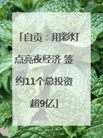 自贡：用彩灯点亮夜经济 签约11个总投资超9亿