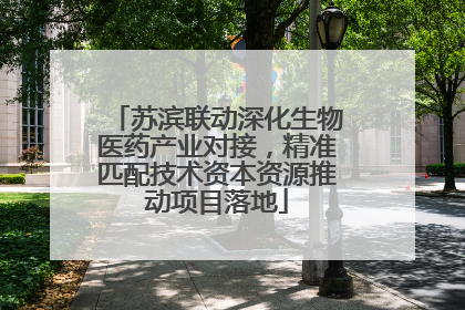 苏滨联动深化生物医药产业对接，精准匹配技术资本资源推动项目落地