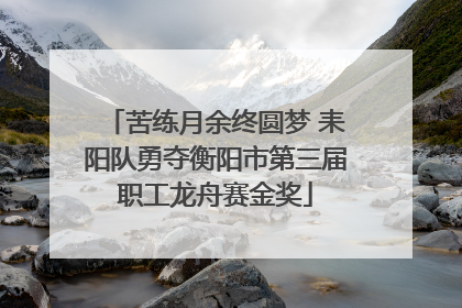 苦练月余终圆梦 耒阳队勇夺衡阳市第三届职工龙舟赛金奖