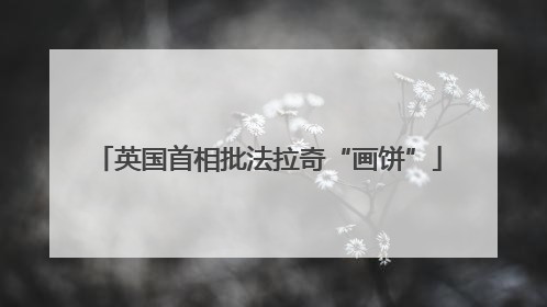 英国首相批法拉奇“画饼”