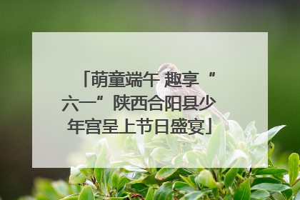 萌童端午 趣享“六一”陕西合阳县少年宫呈上节日盛宴