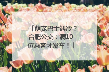 萌宠巴士遇冷？合肥公交：满10位乘客才发车！