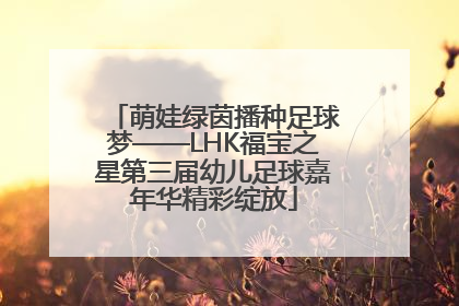 萌娃绿茵播种足球梦——LHK福宝之星第三届幼儿足球嘉年华精彩绽放
