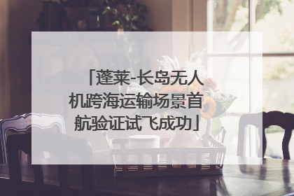 蓬莱-长岛无人机跨海运输场景首航验证试飞成功