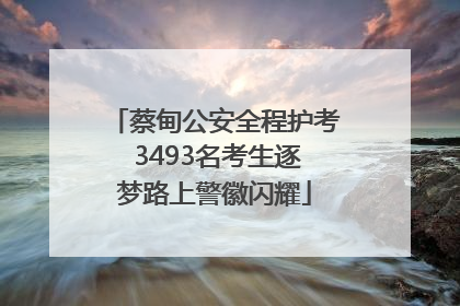 蔡甸公安全程护考 3493名考生逐梦路上警徽闪耀