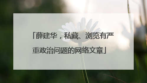 薛建华，私藏、浏览有严重政治问题的网络文章