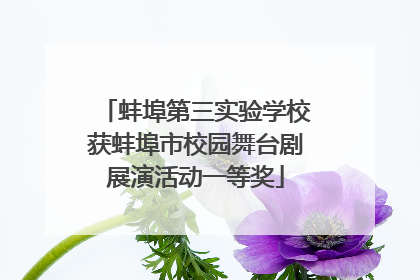 蚌埠第三实验学校获蚌埠市校园舞台剧展演活动一等奖