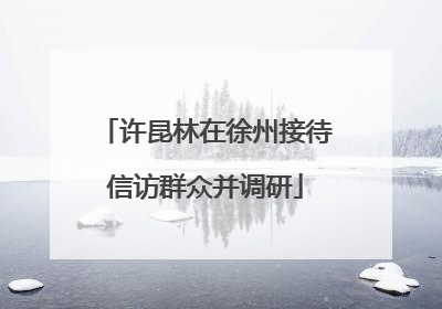 许昆林在徐州接待信访群众并调研