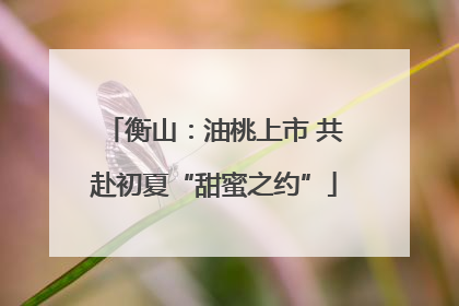 衡山：油桃上市 共赴初夏“甜蜜之约”