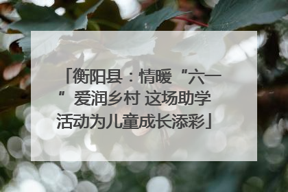 衡阳县：情暖“六一”爱润乡村 这场助学活动为儿童成长添彩
