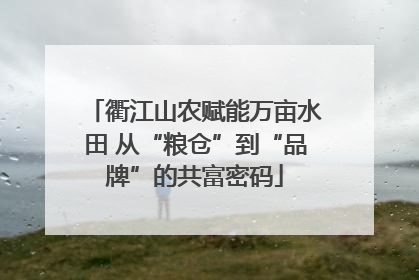 衢江山农赋能万亩水田 从“粮仓”到“品牌”的共富密码