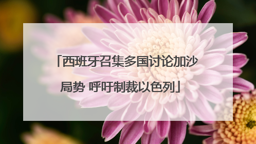西班牙召集多国讨论加沙局势 呼吁制裁以色列
