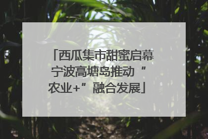 西瓜集市甜蜜启幕 宁波高塘岛推动“农业+”融合发展