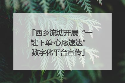 西乡流塘开展“一键下单·心愿速达”数字化平台宣传