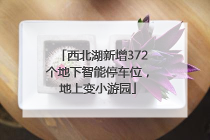 西北湖新增372个地下智能停车位，地上变小游园