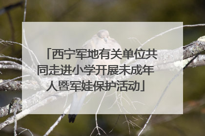 西宁军地有关单位共同走进小学开展未成年人暨军娃保护活动
