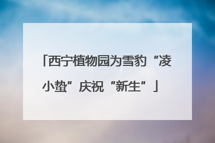 西宁植物园为雪豹“凌小蛰”庆祝“新生”
