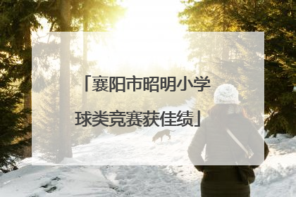 襄阳市昭明小学球类竞赛获佳绩