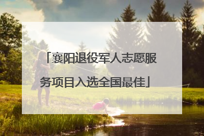 襄阳退役军人志愿服务项目入选全国最佳