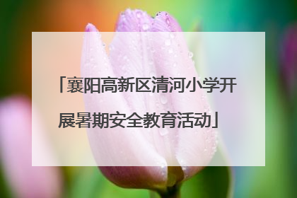襄阳高新区清河小学开展暑期安全教育活动