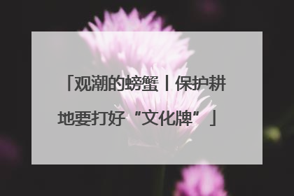 观潮的螃蟹丨保护耕地要打好“文化牌”
