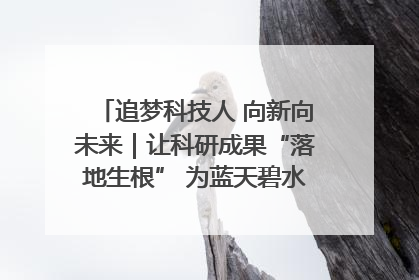 追梦科技人 向新向未来｜让科研成果“落地生根” 为蓝天碧水“保驾护航”