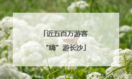 近五百万游客“嗨”游长沙