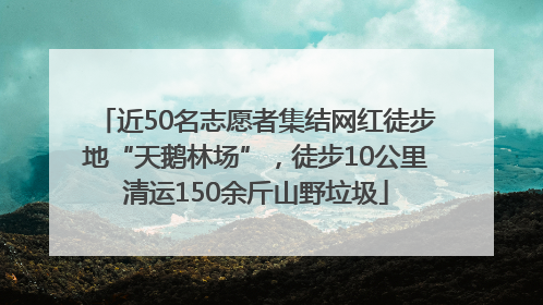 近50名志愿者集结网红徒步地“天鹅林场”，徒步10公里清运150余斤山野垃圾