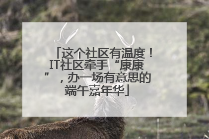 这个社区有温度！IT社区牵手“康康”，办一场有意思的端午嘉年华