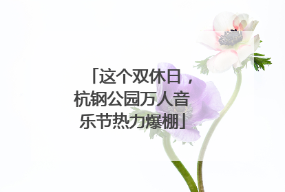 这个双休日，杭钢公园万人音乐节热力爆棚