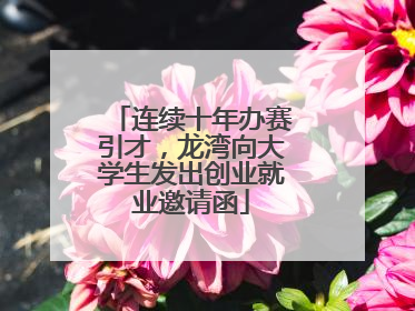 连续十年办赛引才，龙湾向大学生发出创业就业邀请函