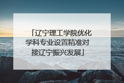 辽宁理工学院优化学科专业设置精准对接辽宁振兴发展