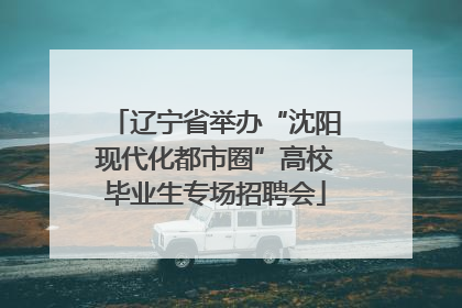 辽宁省举办“沈阳现代化都市圈”高校毕业生专场招聘会