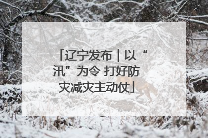 辽宁发布｜以“汛”为令 打好防灾减灾主动仗