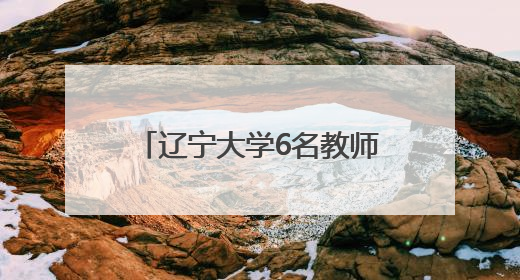 辽宁大学6名教师在辽宁省高校教师教学创新大赛中获奖