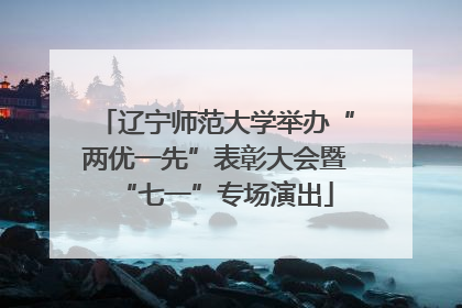 辽宁师范大学举办“两优一先”表彰大会暨“七一”专场演出